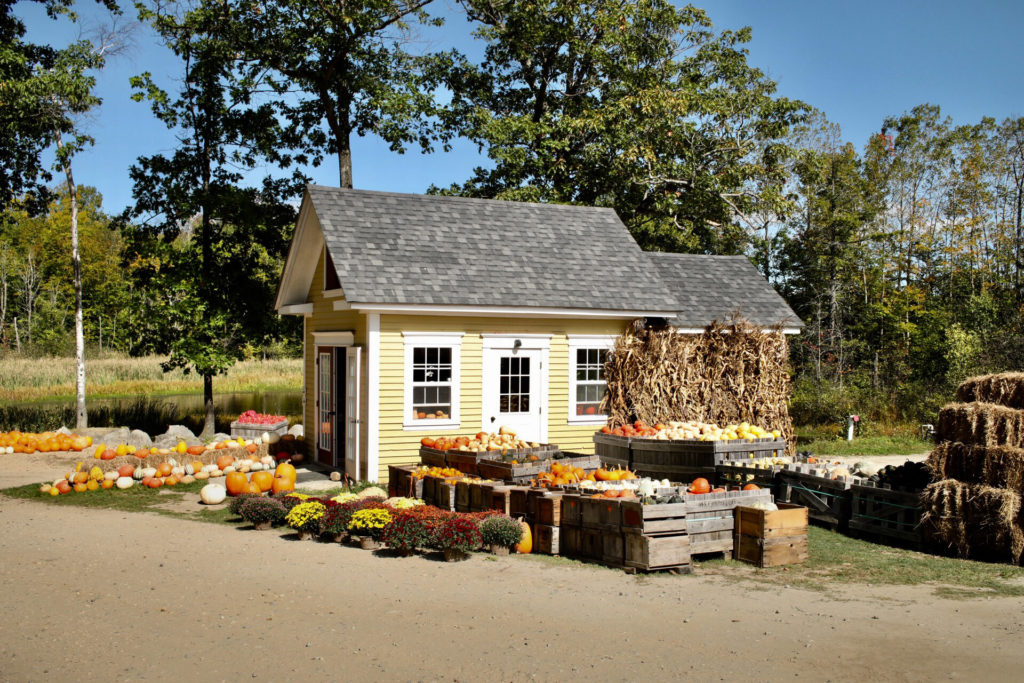 Berry-Farm