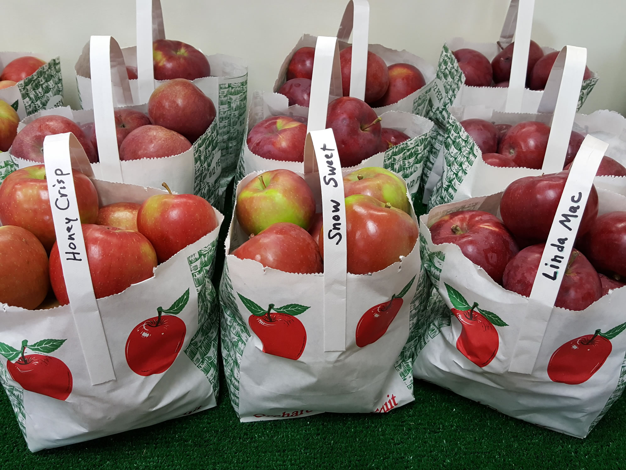 apples in bags_med